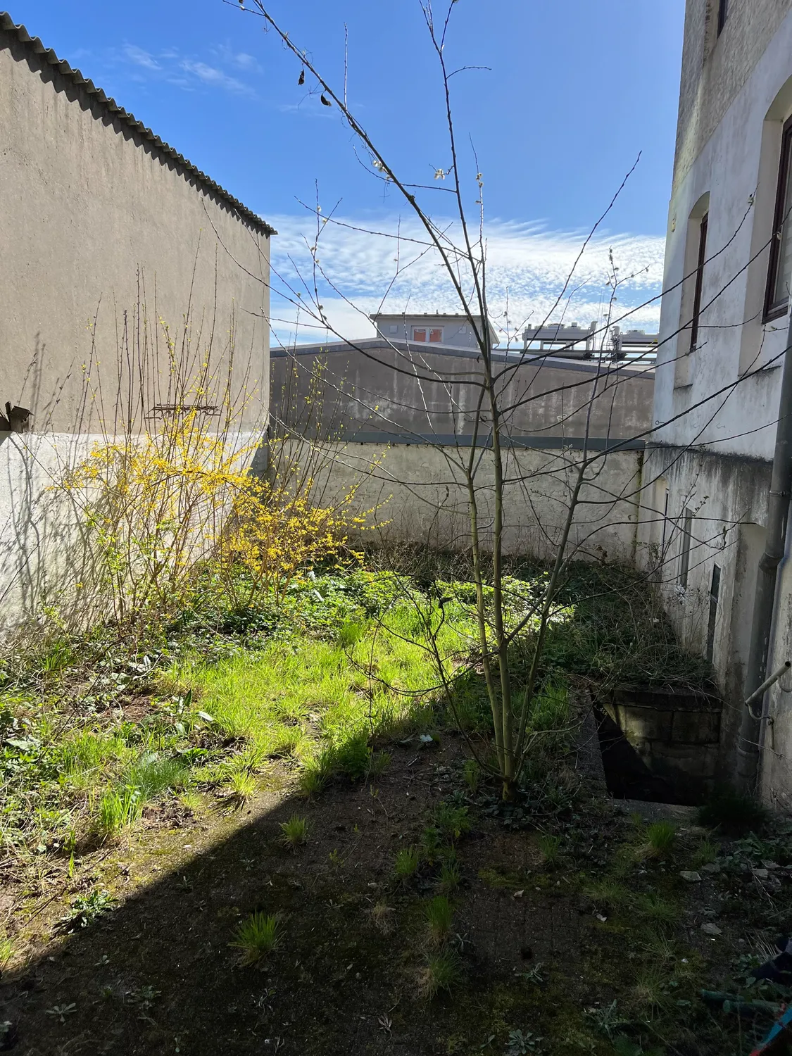 Sergiyenko Dienstleistungen – Bau- und Landschaftsbau – Gartenbereich
