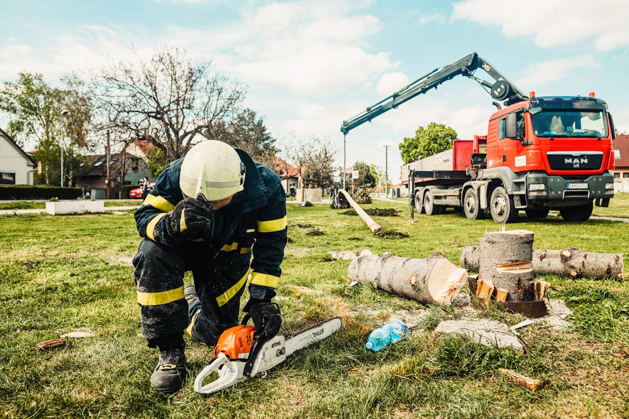 Sergiyenko Dienstleistungen – Bau- und Landschaftsbaudienstleistungen – Handwerker, der Bäume in einem Wohngebiet entfernt