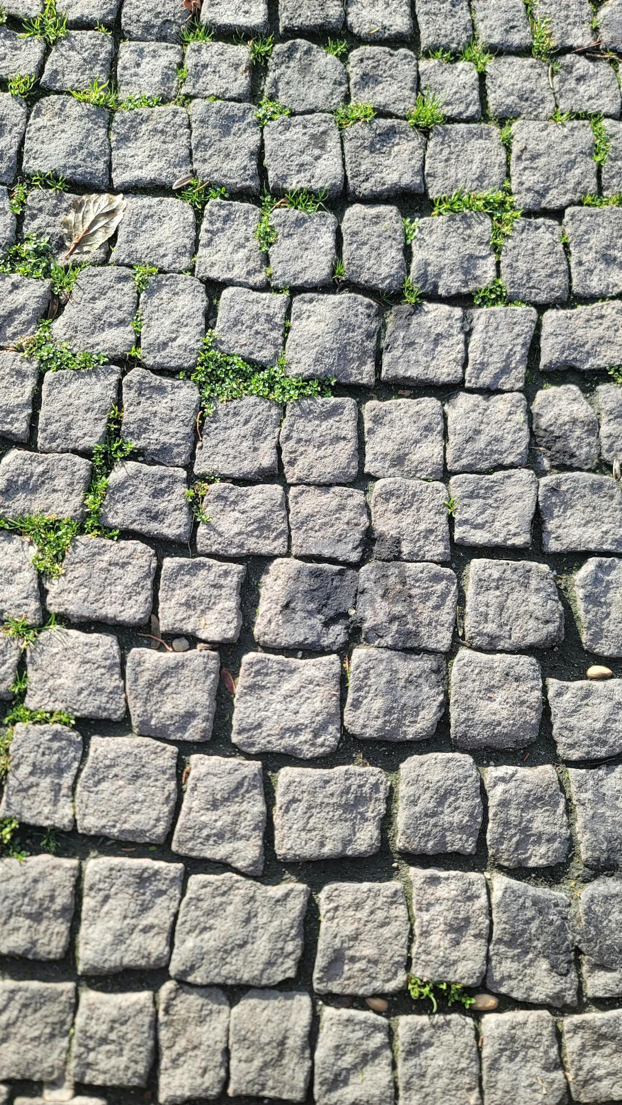 Sergiyenko Dienstleistungen – Bau- und Landschaftsbau – Verlegung von Pflastersteinen im Garten für einen großen Erweiterungspool