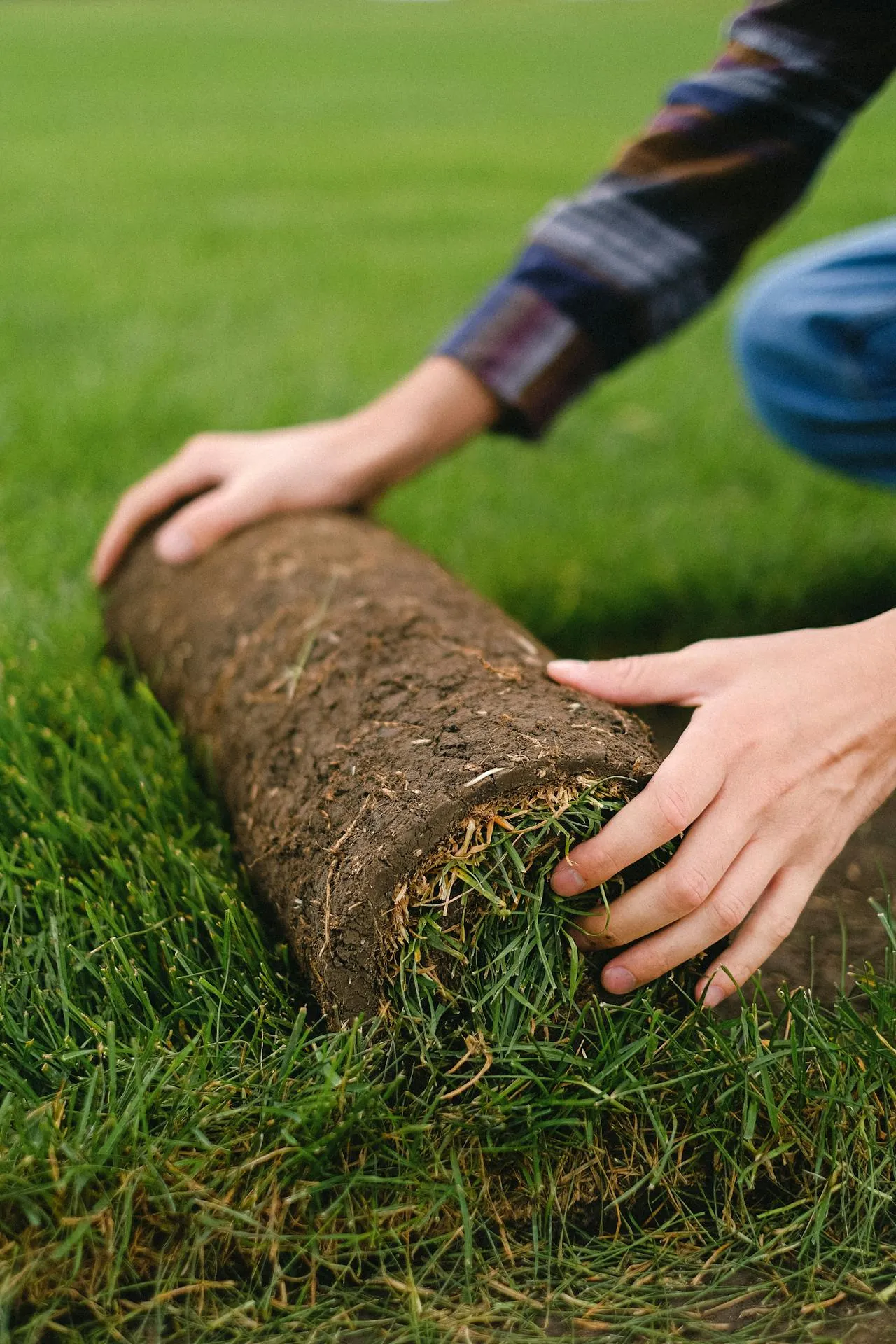 Sergiyenko Dienstleistungen - Bau- und Landschaftsbaudienstleistungen - Mann legt Spatenstich für neuen Gartenrasen, Gartenarbeit